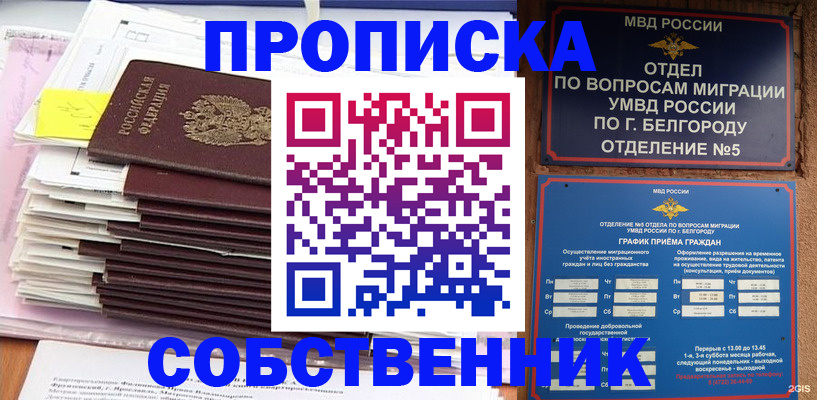 прописка законно в Камешково